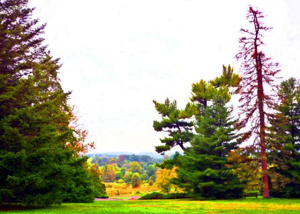 2021-10-05_Morris Arboretum of the UPenn0001.JPG