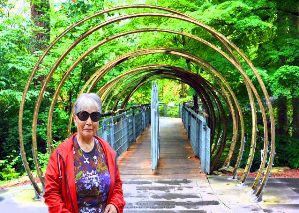 2021-10-05_Out on a Limb Tree Canopy Walk-10001.jpg