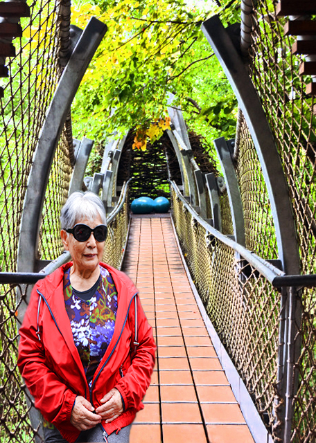 1763220794720153.jpg 2021-10-05_Out on a Limb Tree Canopy Walk-20001.jpg