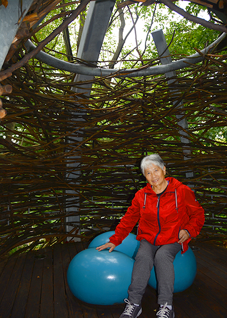 1763220812388949.jpg 2021-10-05_Out on a Limb Tree Canopy Walk_Robin Nest0001.JPG