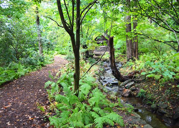 2021-10-05_Log Cabin along Wissahickon Creek-10001.JPG