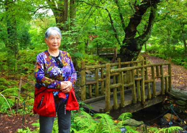 2021-10-05_Rustic Bridges over Wissahickon Creek-10001.JPG