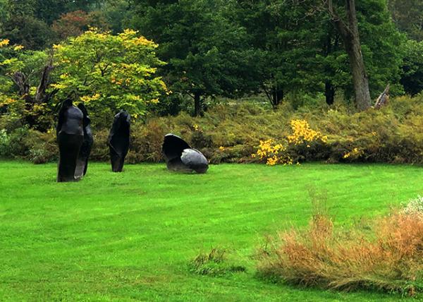 X_2021-10-05_Germination Sequence-20001.JPG