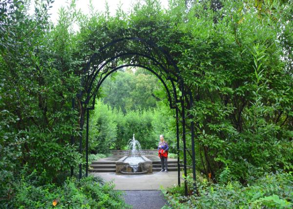 2021-10-05_Pennock Flower Walk-30001.JPG