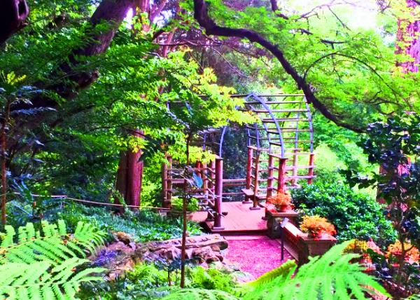 2021-10-05_Orange Balustrade0001.JPG