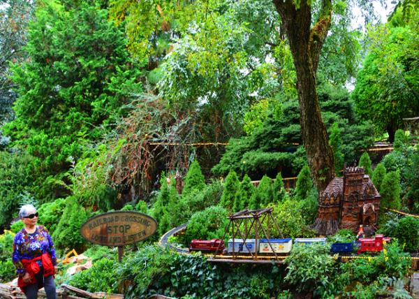 2021-10-05_Garden Railway-30001.JPG