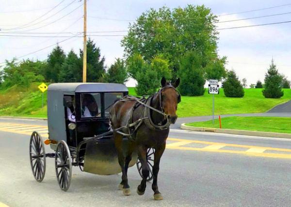 2021-10-07_Buggy Ride @ Strasburg0001.JPG