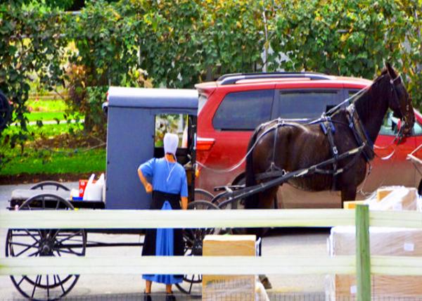 2021-10-07_A Married Woman w a White Bonnet-20001.JPG