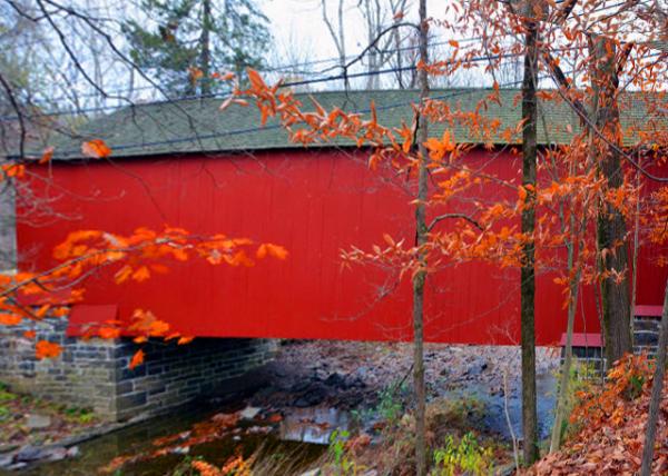 2021-11-14_Cabin Run Covered Bridge w 82 Ft Long & 15 Ft Wide-30001.JPG