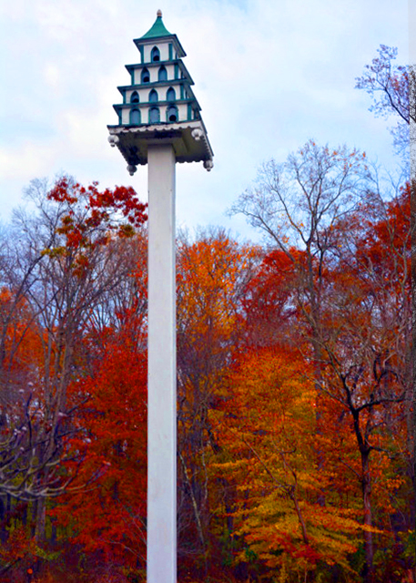 2021-11-14_Pine Valley Park-20001.JPG