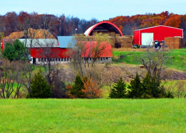 2021-11-14_Windybush Hay Farms-20001.JPG