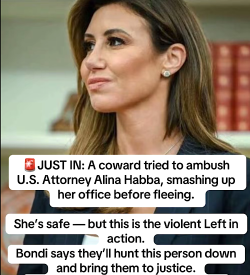 1763298320222939.png IMG_1324.png