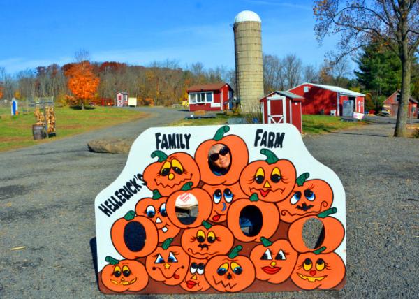 2021-11-20_Hellerick's Farm_Pumpkin Faces0001.JPG
