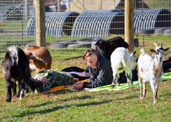 2021-11-20_Hellerick's Farm_Goat Yoga0001.JPG