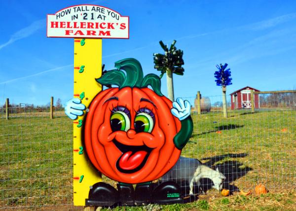 2021-11-20_Hellerick's Farm_Ruler0001.JPG