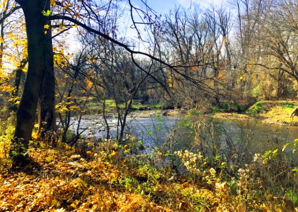 2021-11-20_Castle Valley Park_Neshaminy Creek0001.JPG