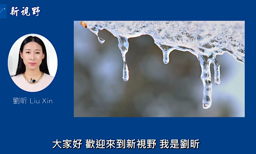 1763315290424131.png IMG_1442.png