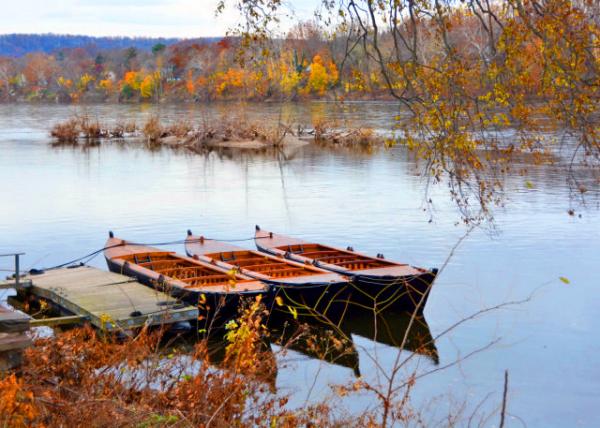 2021-11-21_McConkey's Ferry-20001.JPG
