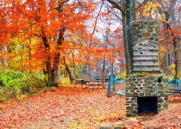 2021-11-21_Olde Fireplace0001.JPG