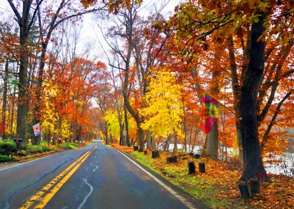 2021-11-21_New Hope_River Rd0001.JPG