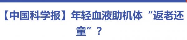 1763339887132519.png image.png