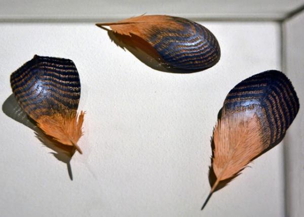 2021-12-16_Feathers_ Hand-Carved White Oak Burnished w Graphite Powder-10001.JPG