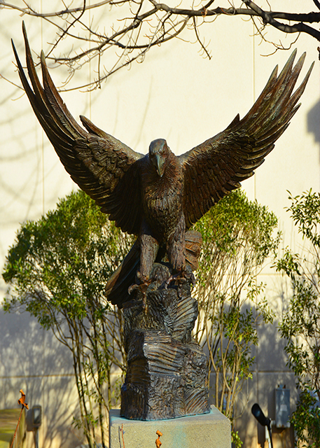 2021-12-16_Eagle in Bronze.jpg