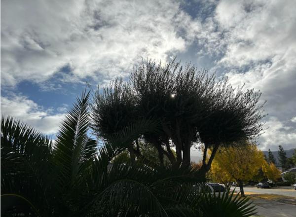 1763607903260825.png image.png