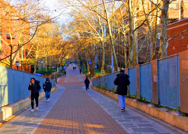 2021-12-19_Class of 1949 Generational Bridge0001.JPG