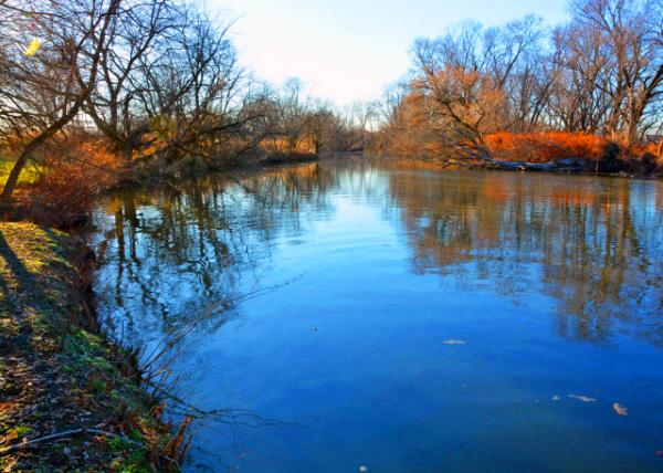 2021-12-20_Tidal Delaware Water Trail along the Delaware Estuary_ where the River's Freshwater Mixes w the Saltwater of the Ocean-10001.JPG