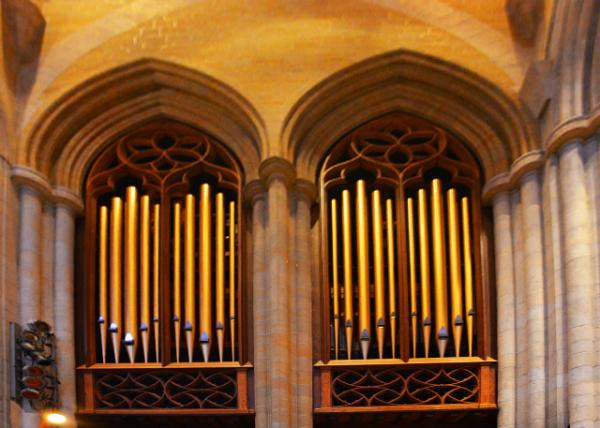 2021-12-21_320 Pipe Organs0001.JPG