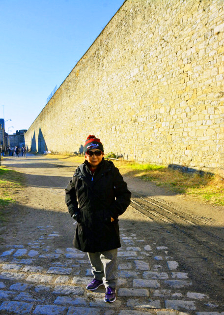 2021-12-26_A Chain Link Fence atop the Outfield Wall-10001.JPG