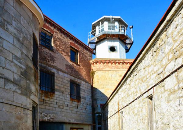 2021-12-26_In 1924_ PA Governor Gifford Pinchot allegedly sentenced Dog Pep to a Life sentence for killing his wife's cherished cat or he donated his own dog to increase inmate morale0001.JPG