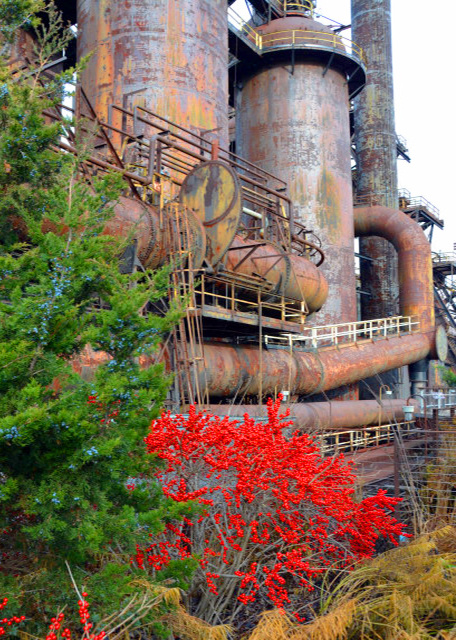 1763782767139585.jpg 2022-01-02_4 Season of Interest-10001.JPG