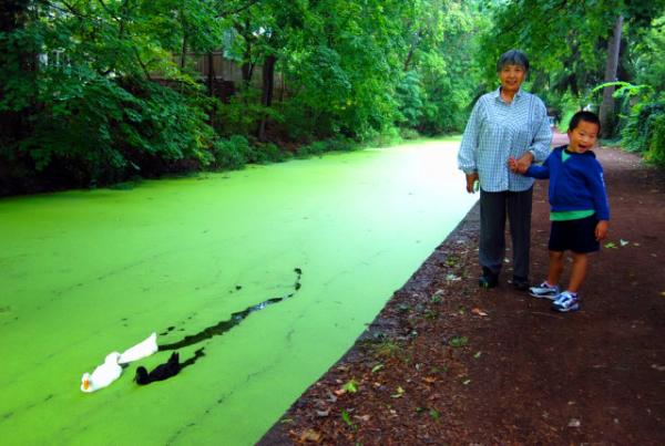 09-22-07_ Del Canal0001.JPG