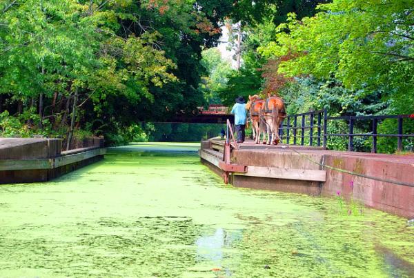 09-22-07_ Del Canal St Park-20001.JPG