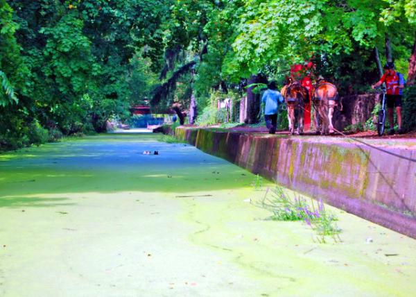 09-22-07_ Del Canal St Park-60001.JPG