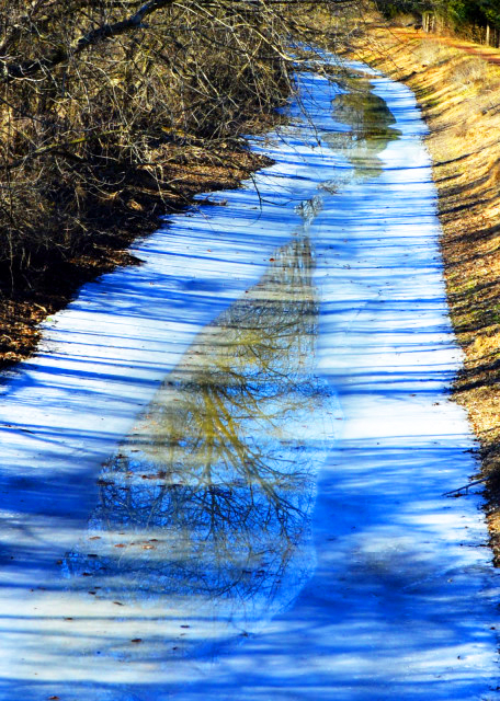 2022-02-09_Delaware Canal_Candy Bend @ Upper Black Eddy20001.JPG
