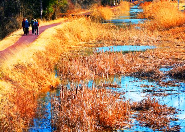 2022-02-23_Canal Park-20001.JPG