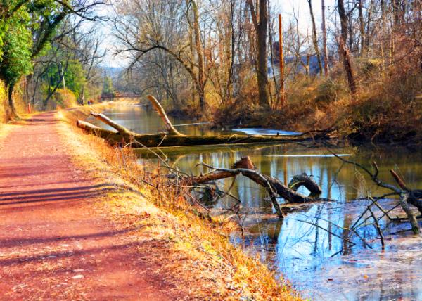 2022-02-23_Delaware Canal Towpath-30001.JPG