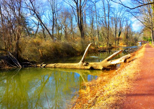 2022-02-23_Delaware Canal Towpath-40001.JPG