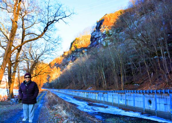 2022-02-11_Towpath beneath the Nockamixon Cliffs-10001.JPG