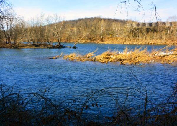 2022-02-11_Lynn Island0001.JPG