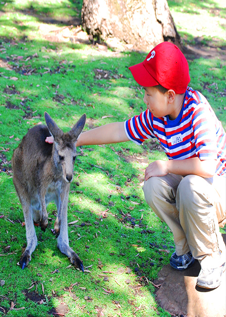 12-30-09_ Wildlife Park_Kangaroo in Its Native Grassland Habitat Ϣԭԭش-30001.JPG