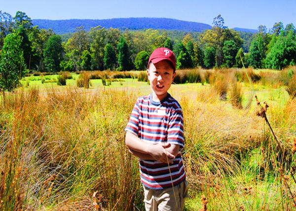 12-30-09_ Mt. Field NP_Meadow0001.JPG