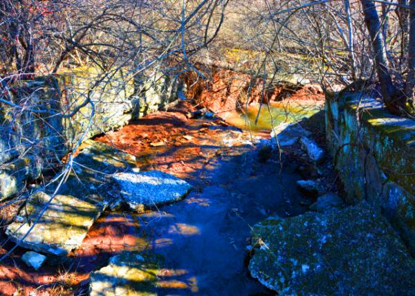 2022-02-21_Honey Hollow Watershed_2_ resulted in a significant amount of soil loss due to erosion-20001.JPG