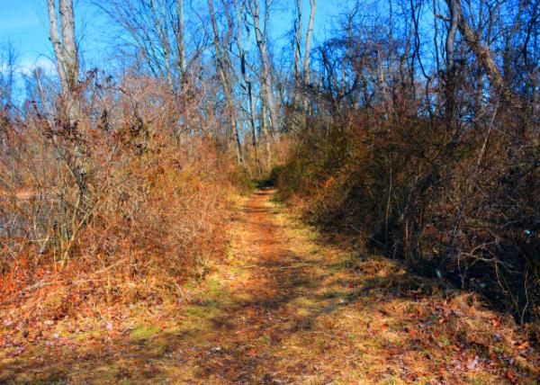 2022-02-21_Honey Hollow Watershed_3_by 1941 terraces and diversion ditches were built to control runoff on steep slopes and hedges were planted to control erosion0001.JPG