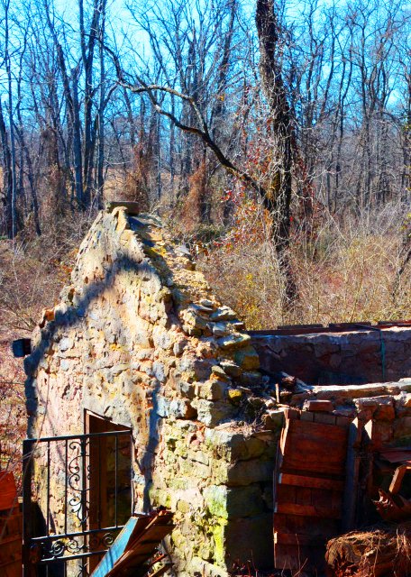 2022-02-21_Honey Hollow Watershed_Green Refrigerator-10001.JPG