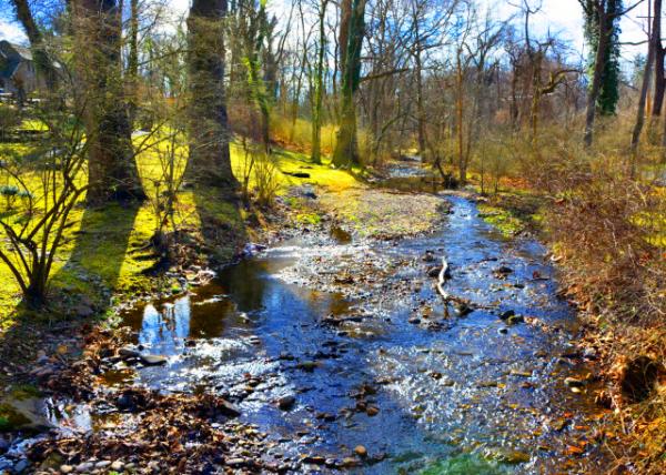 2022-02-23_Primrose Creek-40001.JPG