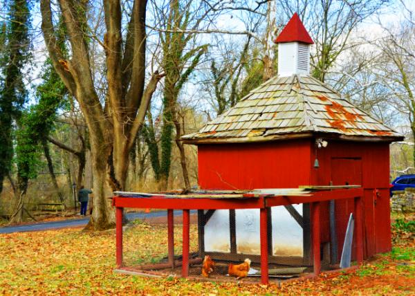 2022-02-23_Phillips Mill_Chicken Coop0001.JPG